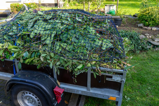 Best Junk Removal for Events  in Tilden, NE